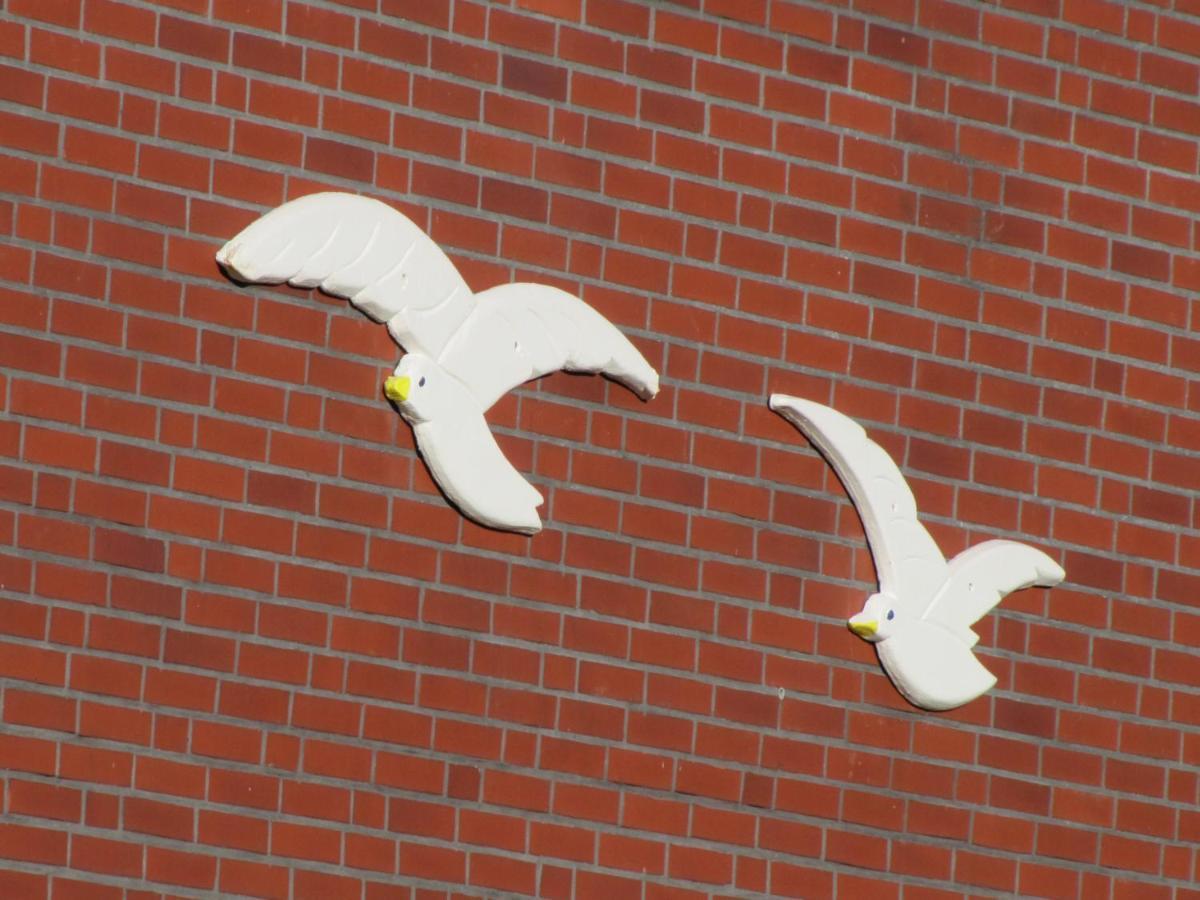 Fewo-Moewenpaar-Norden-Norddeich Buitenkant foto